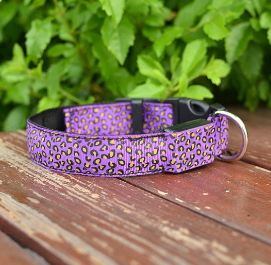 LED Dog Collar Safety Adjustable Nylon