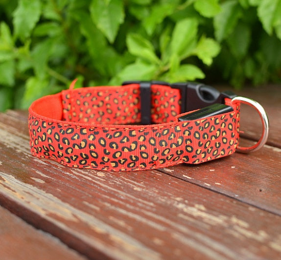 LED Dog Collar Safety Adjustable Nylon
