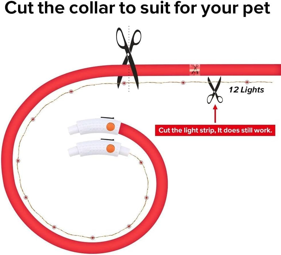  USB Rechargeable. Led Dog Collar