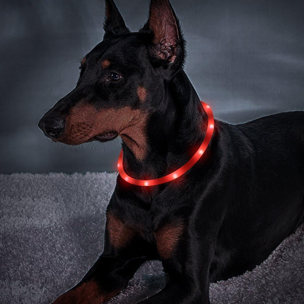  USB Rechargeable. Led Dog Collar