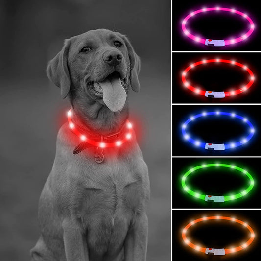  USB Rechargeable. Led Dog Collar